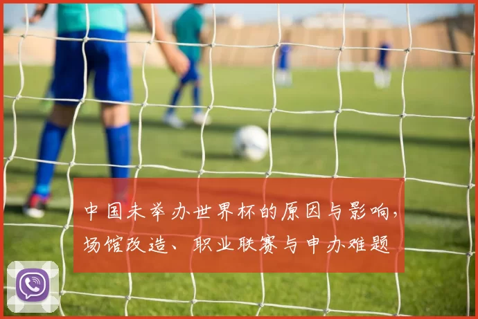 中国未举办世界杯的原因与影响，场馆改造、职业联赛与申办难题