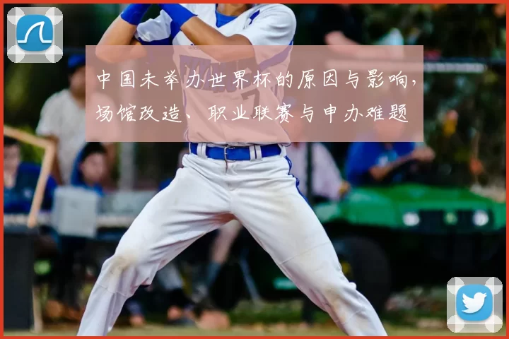 中国未举办世界杯的原因与影响，场馆改造、职业联赛与申办难题