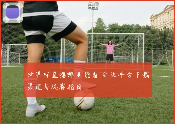 世界杯直播哪里能看 合法平台下载渠道与观赛指南