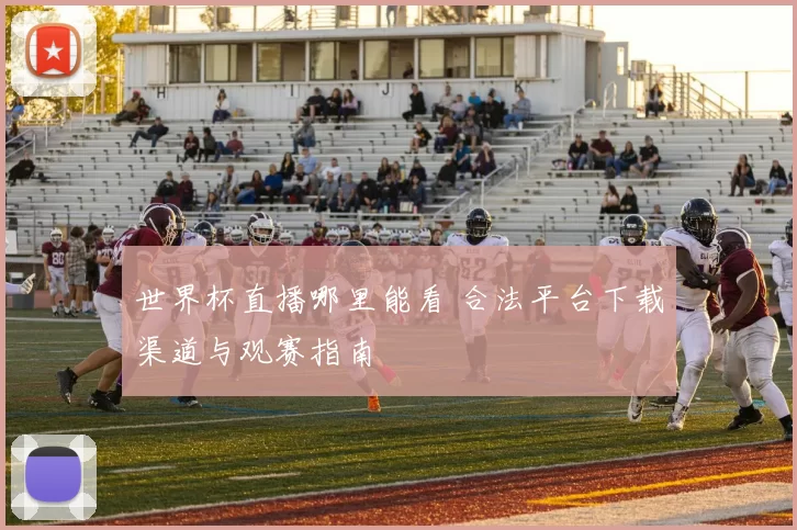 世界杯直播哪里能看 合法平台下载渠道与观赛指南