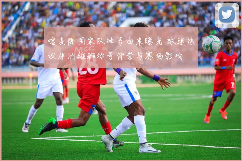 喀麦隆国家队绰号由来曝光 球迷热议非洲雄狮称号背景与赛场影响